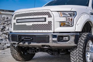 Ford F-150 Hidden Winch Mount - Front - Rough Country - '15-'20